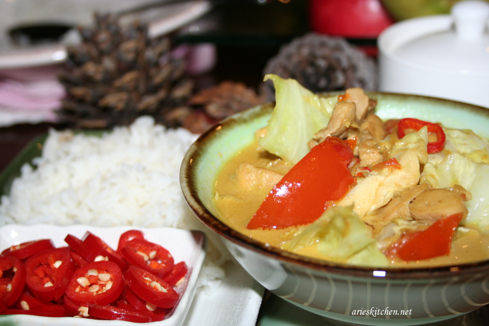 Light Indonesian Chicken Curry Recipe Aries Kitchen